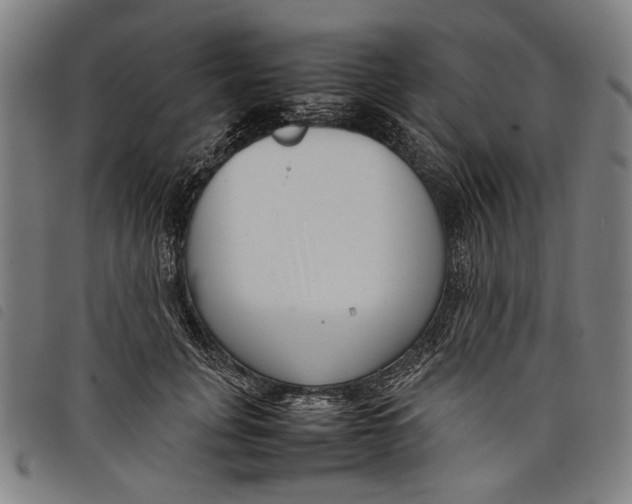 X0000097820751200804041358