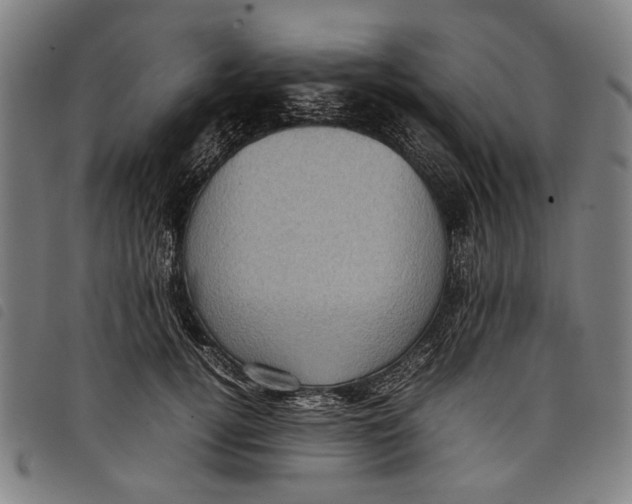 X0000097820752200804041358