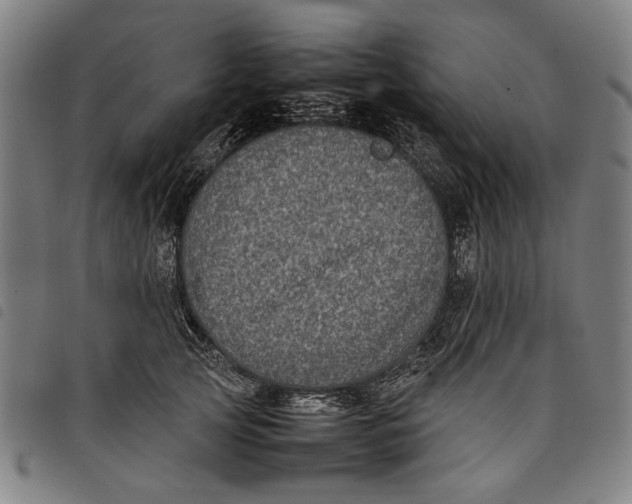 X0000097820753200804041358