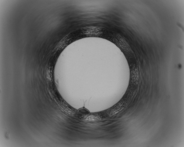 X0000097820755200804041358