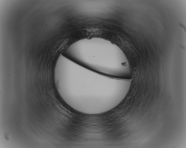 X0000097820756200804041358