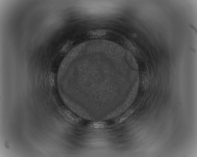 X0000097820758200804041358