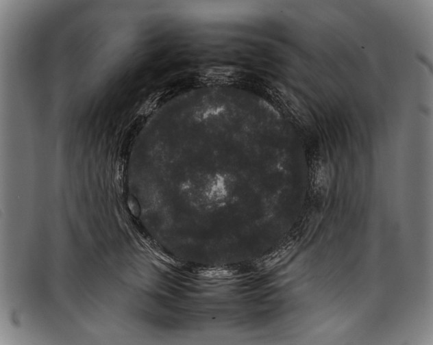 X0000097820759200804041358