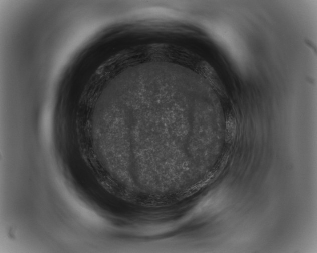 X0000097820765200804041358