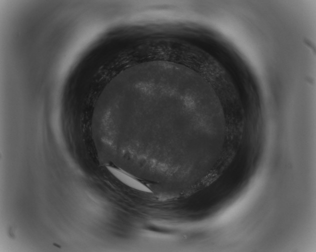 X0000097820766200804041358