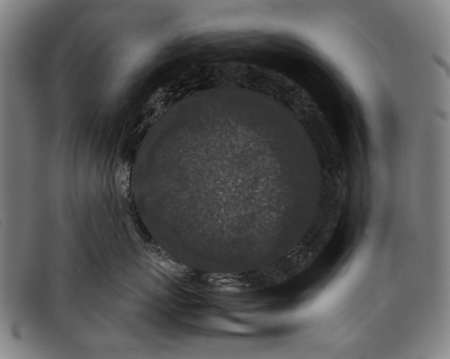 X0000097820767200804041358