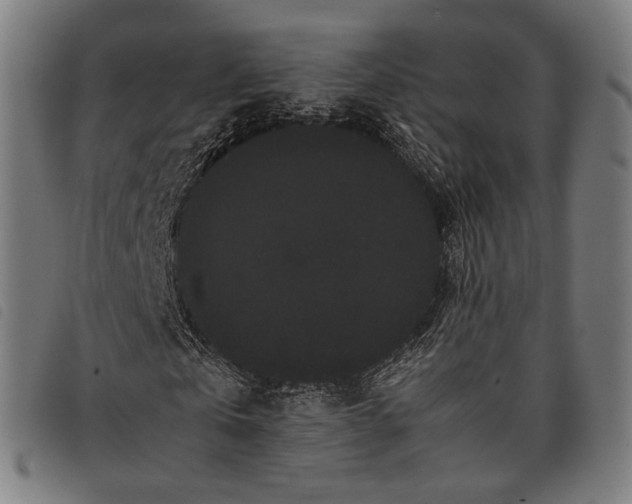 X0000097820769200804041358