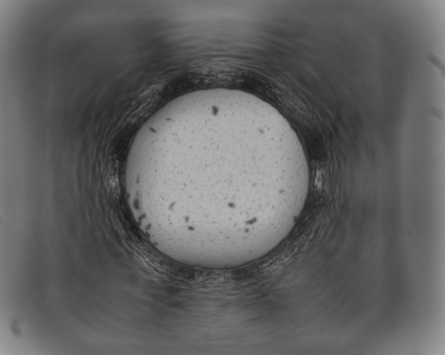 X0000097820771200804041358