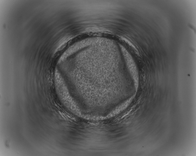 X0000097820775200804041358