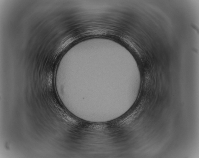 X0000097820778200804041358