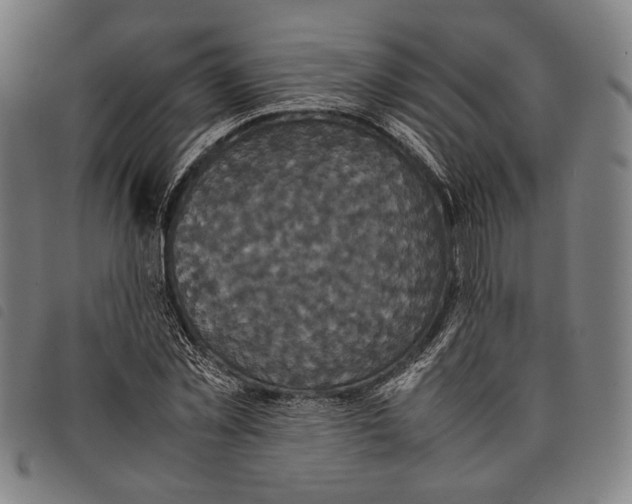 X0000097820781200804041358