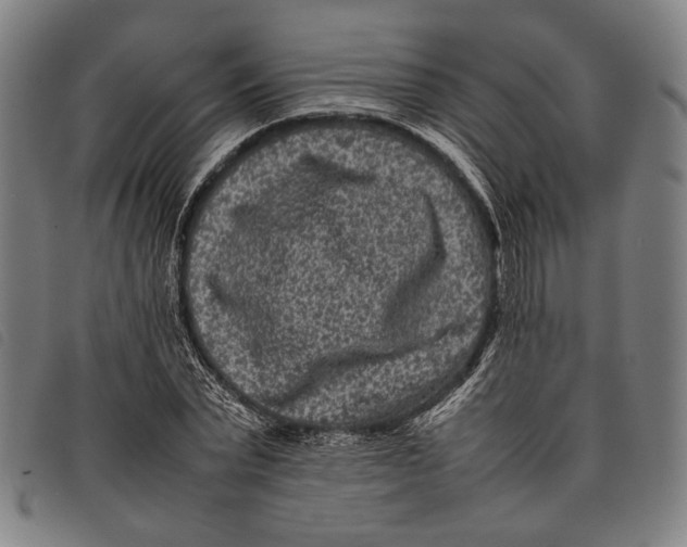 X0000097820783200804041358