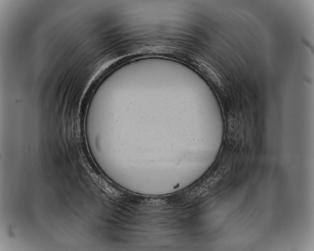 X0000097820784200804041358