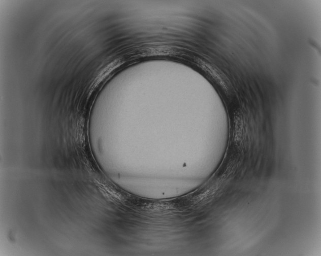 X0000097820786200804041358