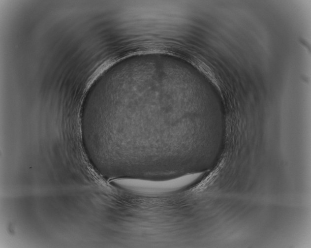 X0000097820789200804041358