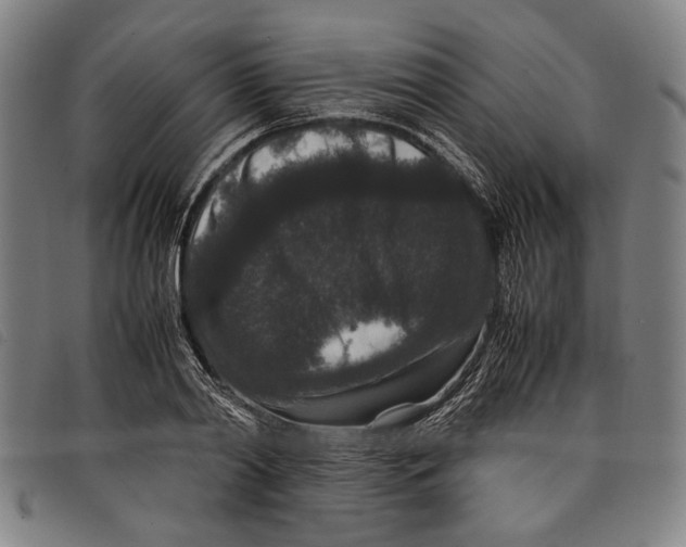 X0000097820790200804041358