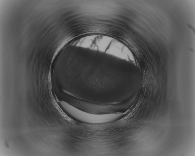 X0000097820796200804041357