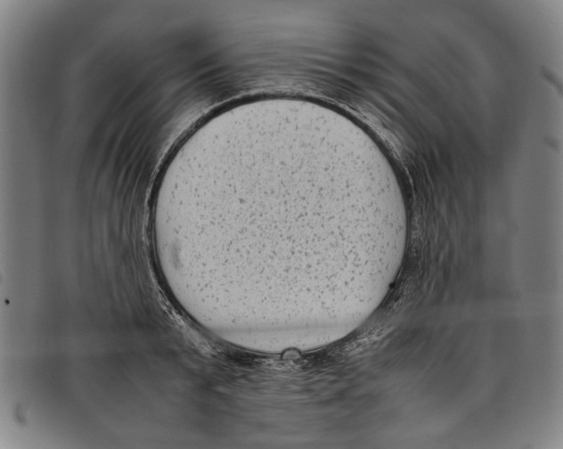 X0000097820799200804041357