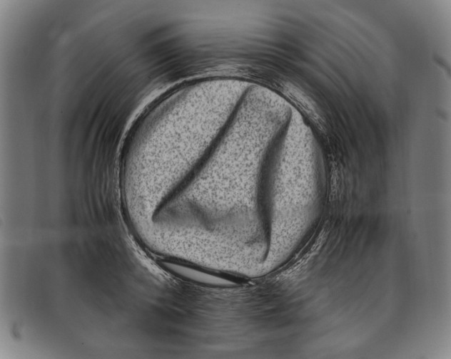 X0000097820800200804041357