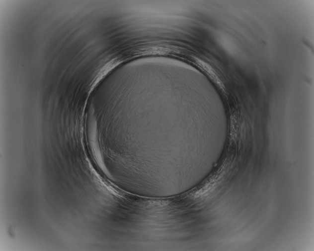 X0000097820802200804041357