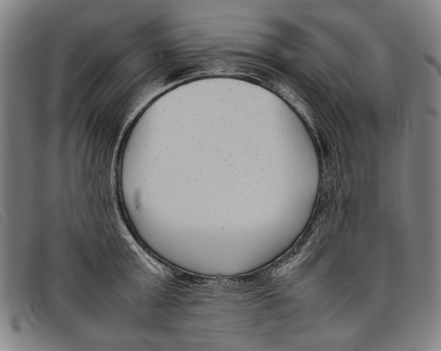 X0000097820803200804041357