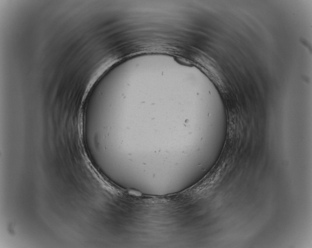 X0000097820804200804041357