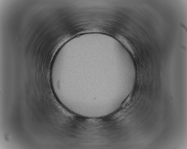 X0000097820805200804041357