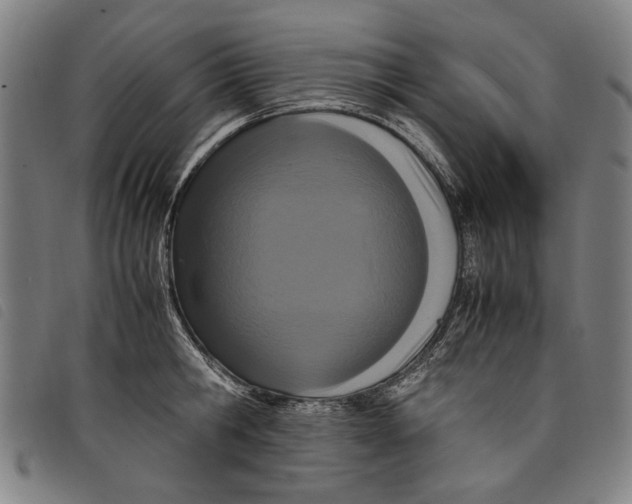 X0000097820806200804041357