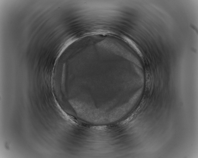 X0000097820810200804041357