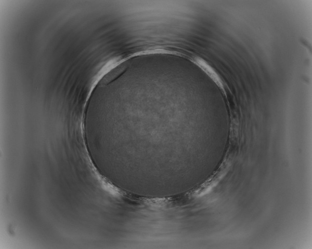 X0000097820813200804041357