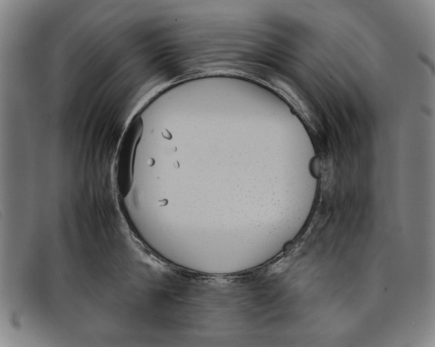 X0000097820814200804041357