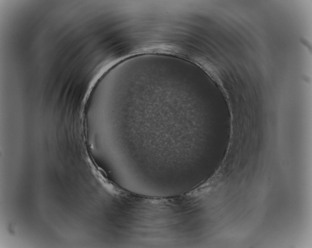 X0000097820816200804041357