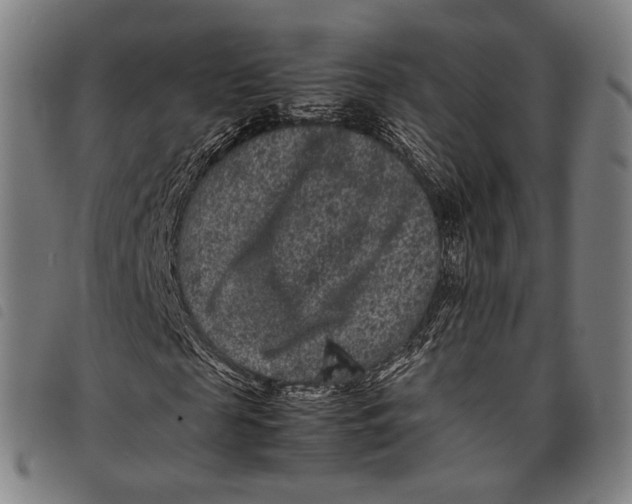 X0000097820817200804041356