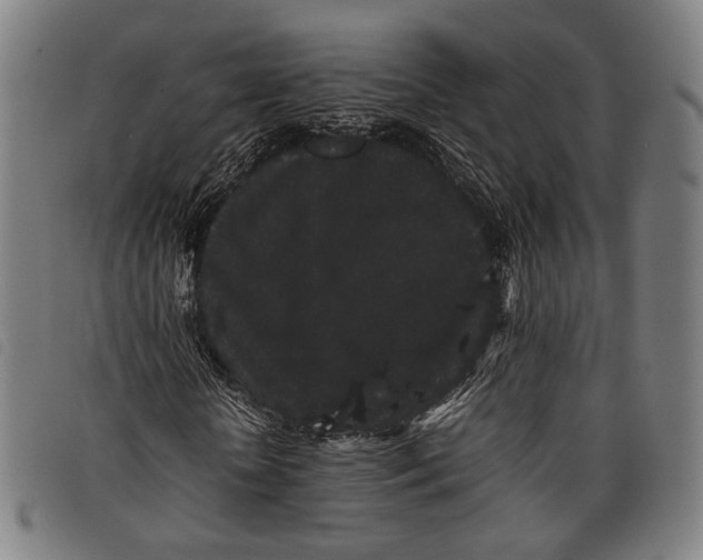 X0000097820818200804041356