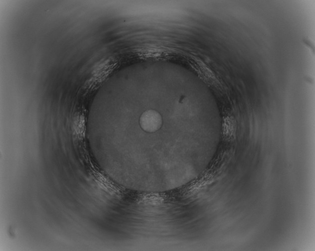 X0000097820820200804041356