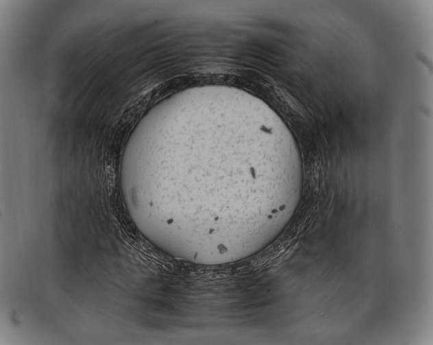 X0000097820821200804041356