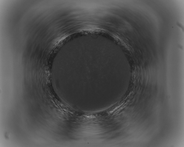 X0000097820822200804041356