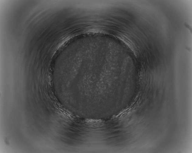 X0000097820823200804041356