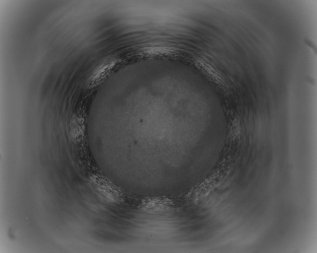 X0000097820824200804041356