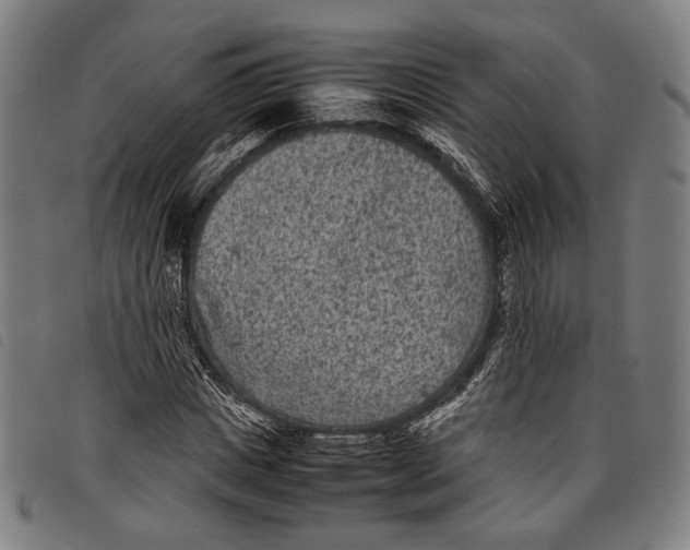 X0000097820825200804041356