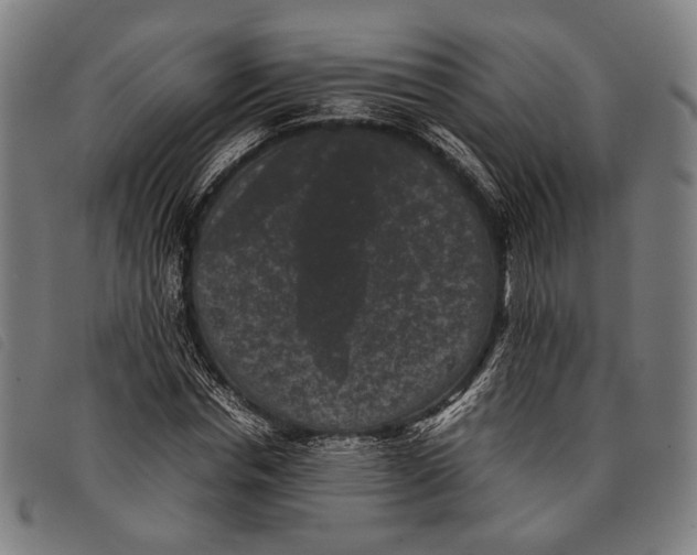 X0000097820826200804041356