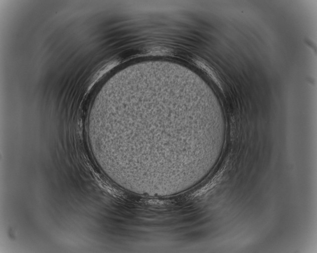 X0000097820827200804041356