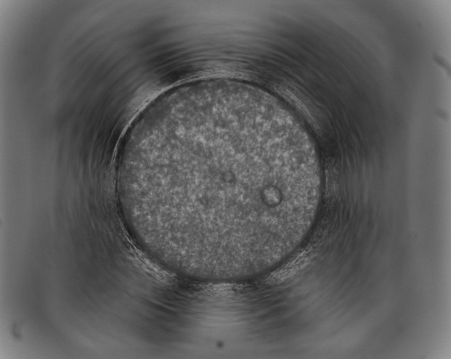 X0000097820828200804041357