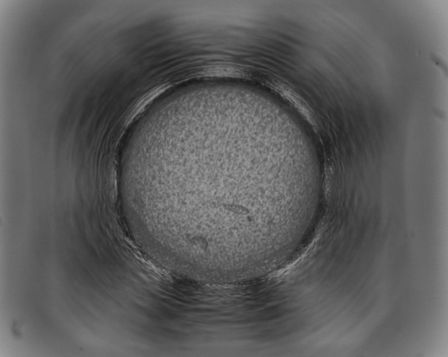 X0000097820829200804041357