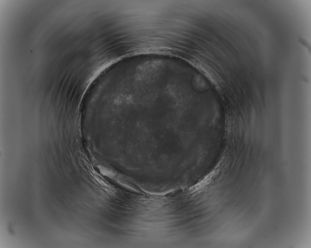 X0000097820830200804041357