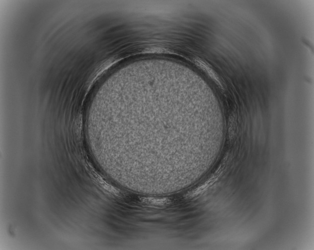 X0000097820831200804041357