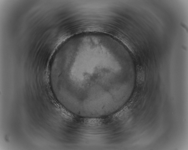 X0000097820832200804041357