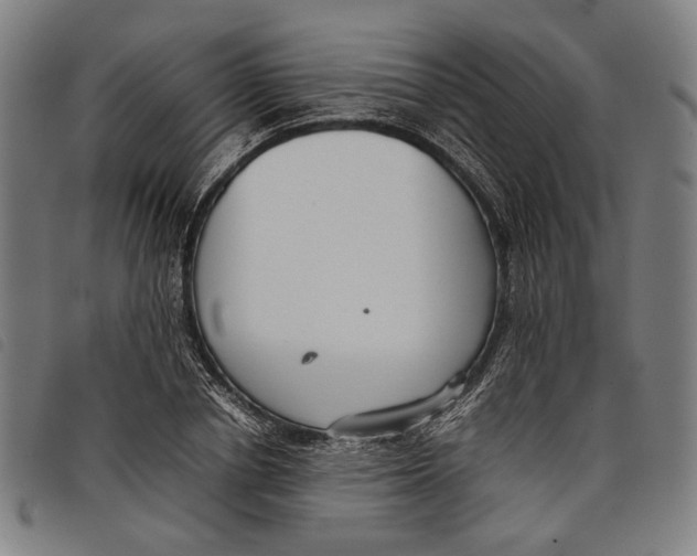 X0000097820834200804041357