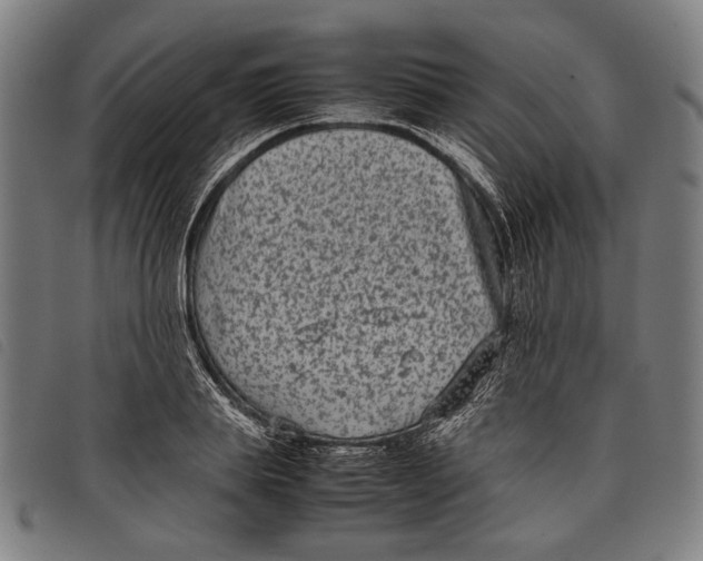 X0000097820839200804041357