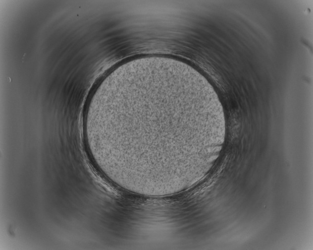 X0000097820840200804041357